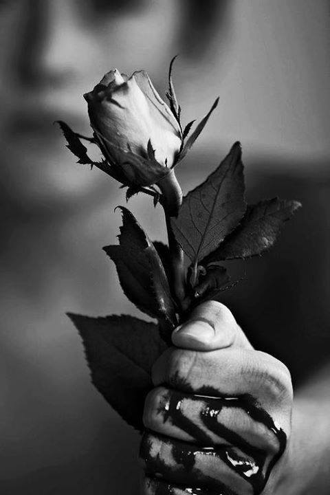 Bông hoa hồng đen thất tình