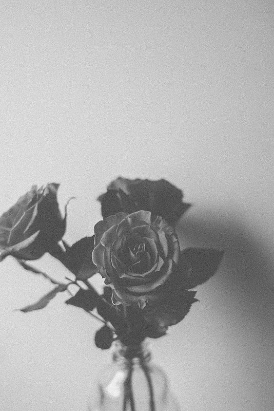 Hình ảnh bông hoa hồng đen buồn
