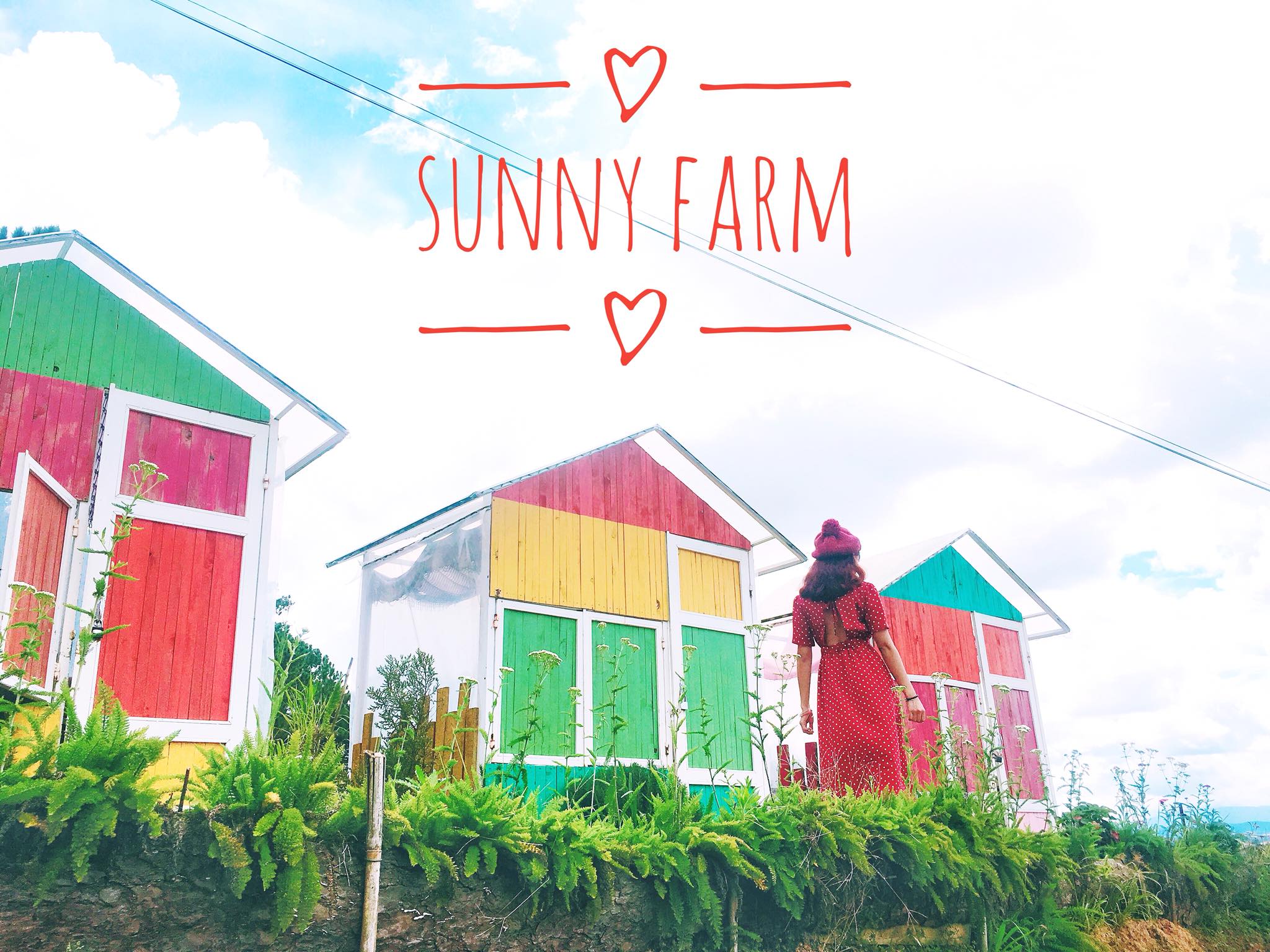 Hình ảnh Sunny Farm Đà Lạt