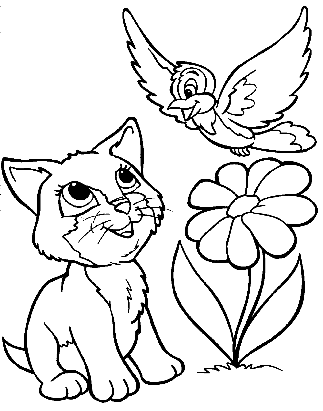 Tranh tô màu mèo ngăm chim trên hoa