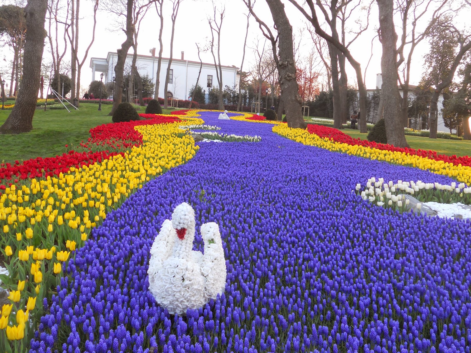 Lễ hội hoa tulip ở istanbul