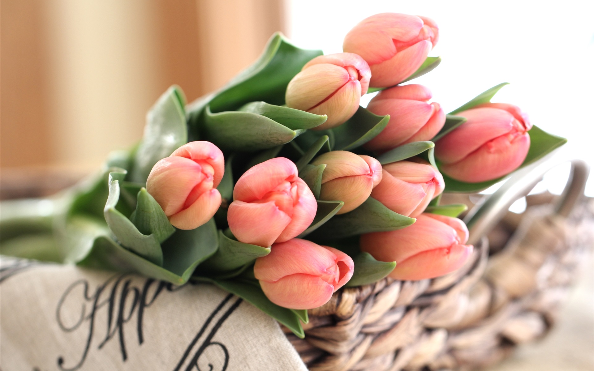 Pink Tulips bouquet flower