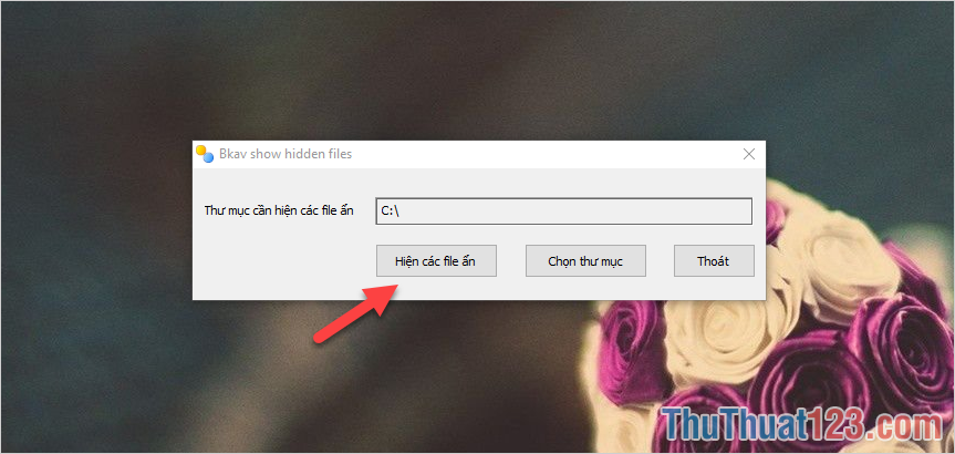 Nhấn Show Hidden Files để hệ thống tự động xử lý dữ liệu.